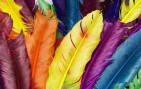 Текстуры перья, цвет, радуга обои рабочий стол
