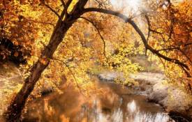 Природа Осенний ручей обои рабочий стол
