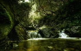 Природа Лес, река, зелень, водопадик обои рабочий стол