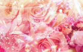 Цветы Розы, текстура, блестки обои рабочий стол