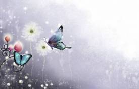 Мультфильмы Красивые бабочки обои рабочий стол