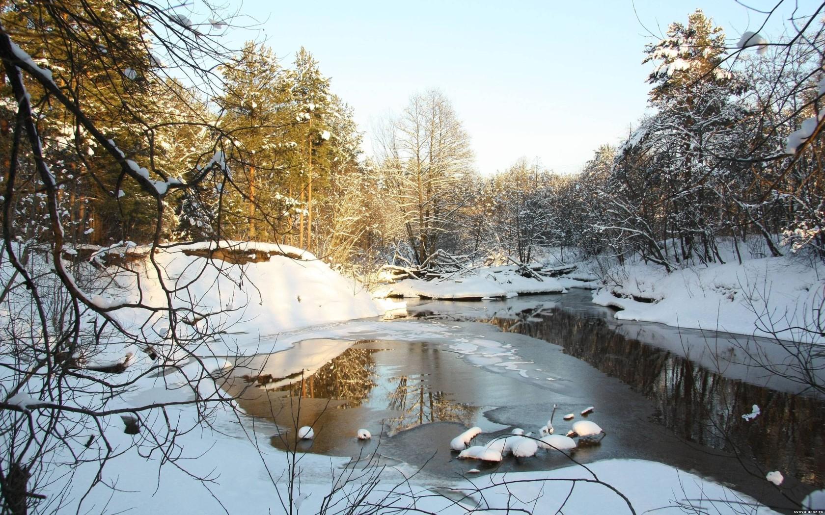 Таяние снега, весенний ручей в лесу обои рабочий стол Природа